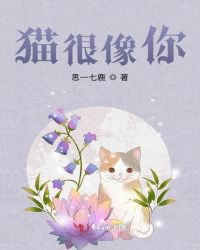 猫很像你