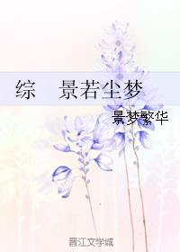 综 景若尘梦