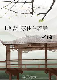 聊斋小相公(古城夜雨)