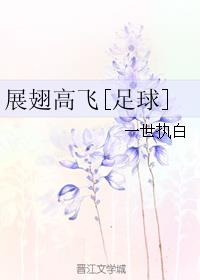 展翅高飞[足球]